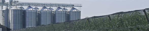 Silos Silos